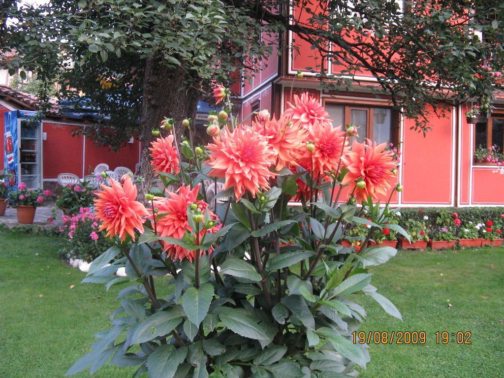 Hotel Family Kalina Koprivshtitsa